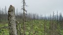 Katastrophenalarm - Der Kapitalismus zerstört die Einheit von Mensch und Natur! Was tun? Katastrophenalarm - Der Kapitalismus zerstört die Einheit von Mensch und Natur! Was tun?