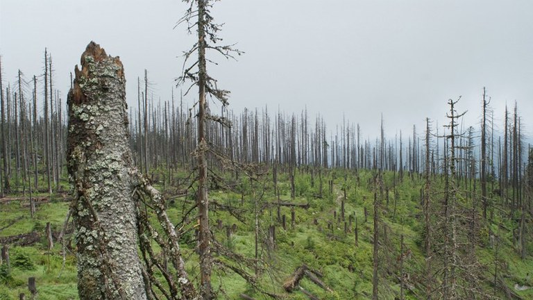 Katastrophenalarm - Der Kapitalismus zerstört die Einheit von Mensch und Natur! Was tun?