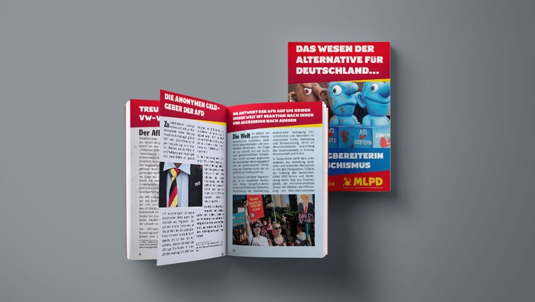 AFD - Eigentor nach rechts aussen