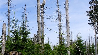 Weltweite Corona-Krise – von wegen Atempause für die Umwelt