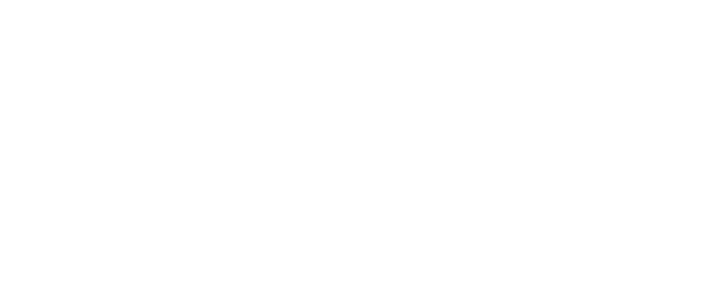 Make socialism great again