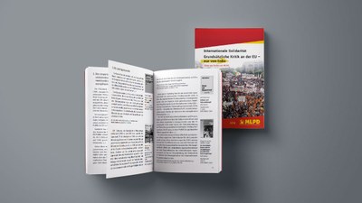 Internationale Solidarität, Grundsätzliche Kritik der EU – nur von links