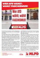 Wer AfD wählt, wählt Faschismus!