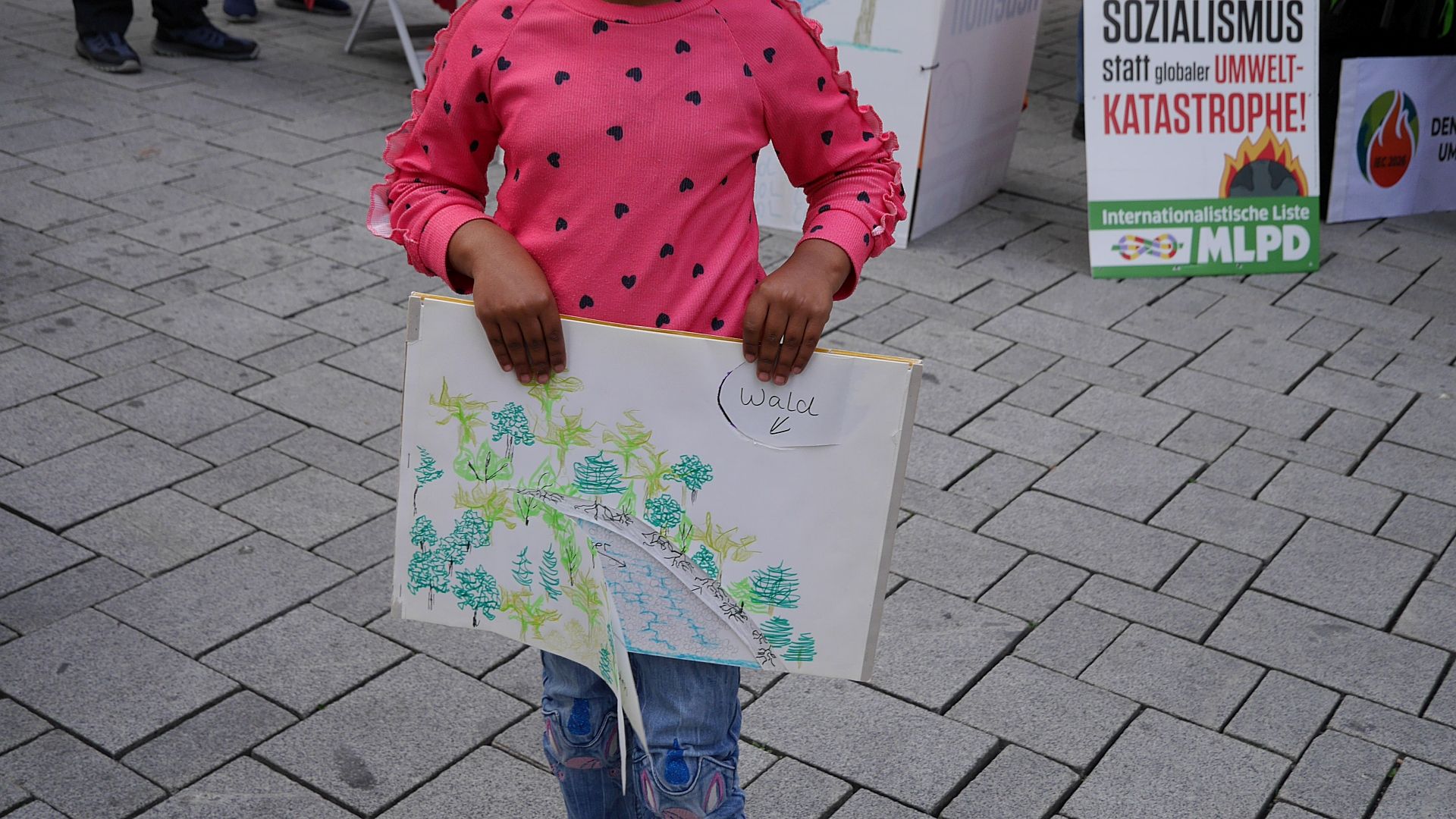 251115 Rofuchs und Wald.jpg