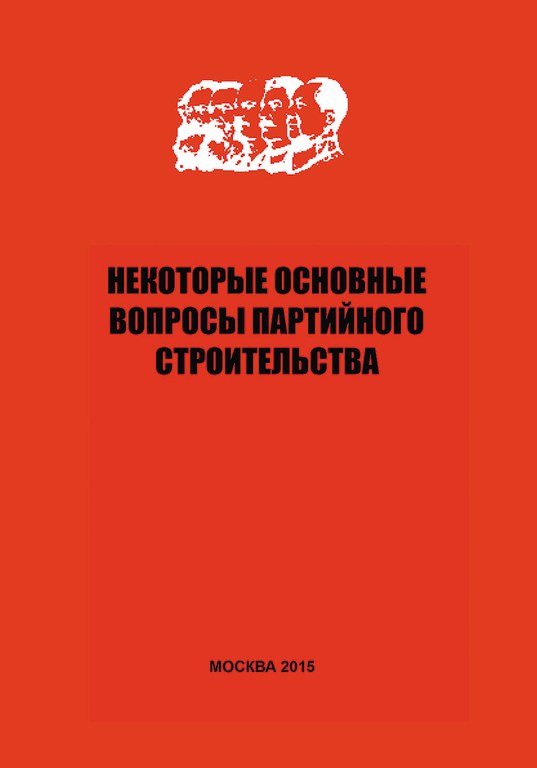 Некоторые основные вопросы партийного строительства