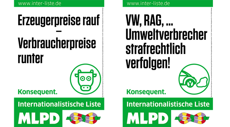 dreizehn.png