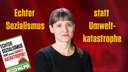 Echter Sozialismus statt globaler Umweltkatastrophe – Warum der Kapitalismus versagt!